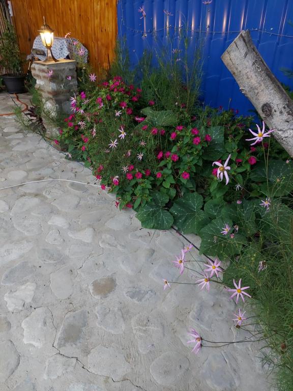 Guest House Iura room 6